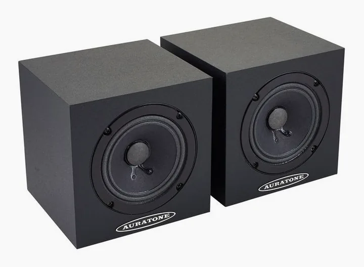 Auratone 5C Super Sound Black, de achterkant met de aansluitingen
