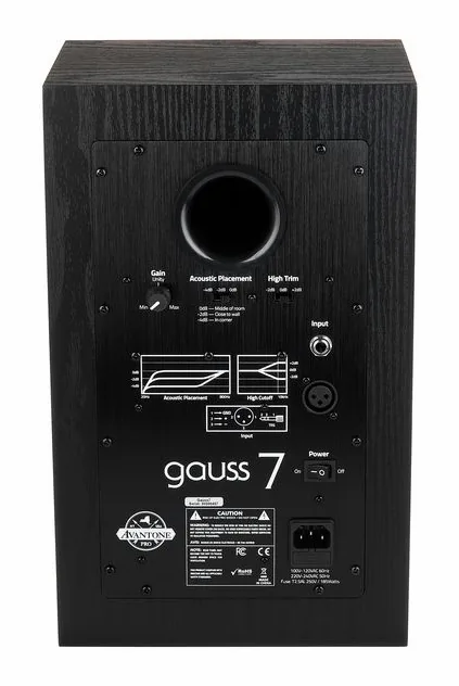 Avantone Gauss 7, de achterkant met de aansluitingen