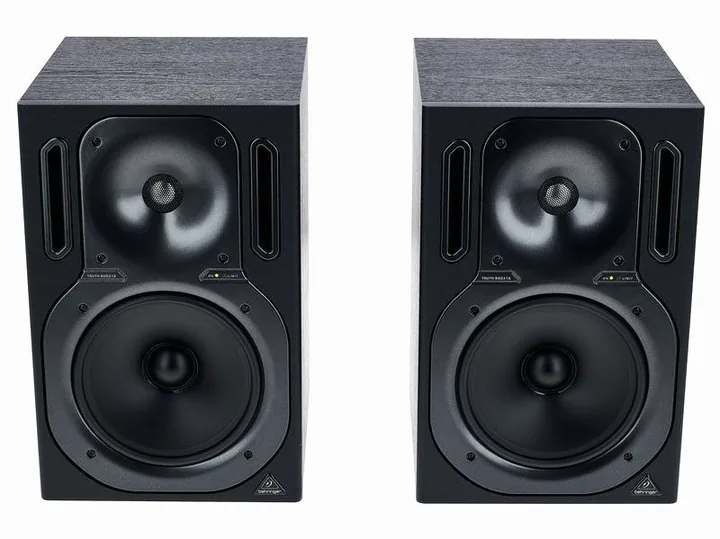 Behringer B2031A Truth, de regelaars aan de achterzijde