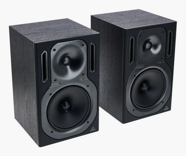 Behringer B2031A Truth, de achterkant met de aansluitingen