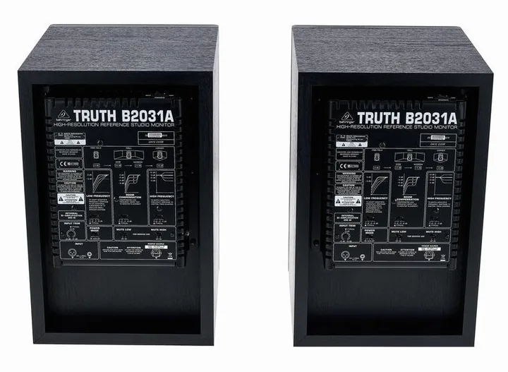 Behringer B2031A Truth, het frontpaneel met de woofer en tweeter