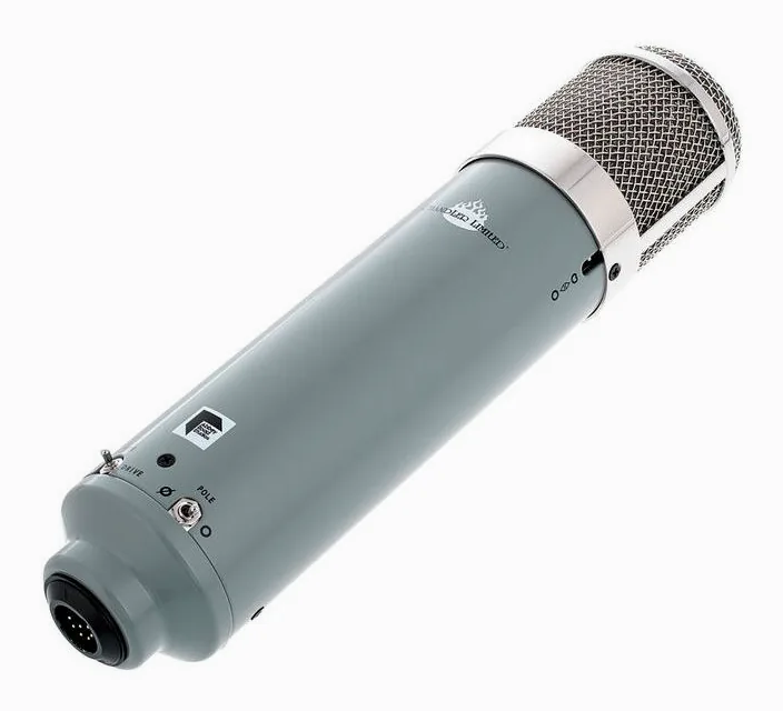 Chandler Limited REDD Microphone, het frontale grillewerk