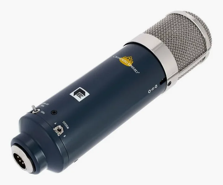 Chandler Limited TG Microphone, het logo en de afwerking
