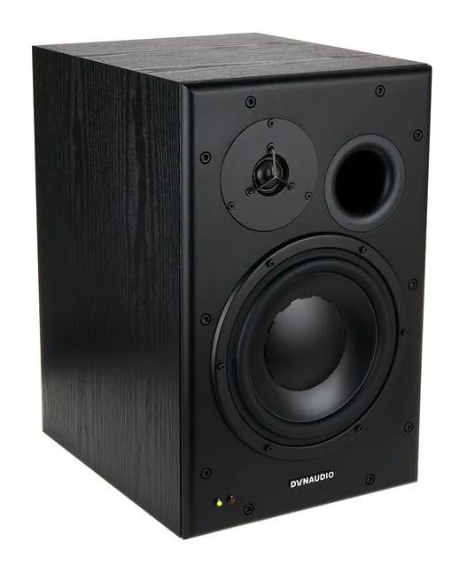 Dynaudio BM15A left, de achterkant met de aansluitingen