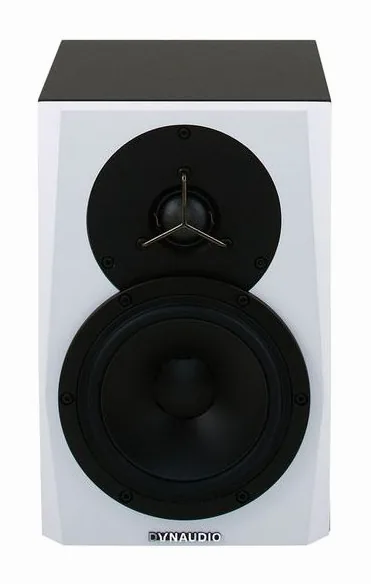 Dynaudio LYD-5, de achterkant met de aansluitingen