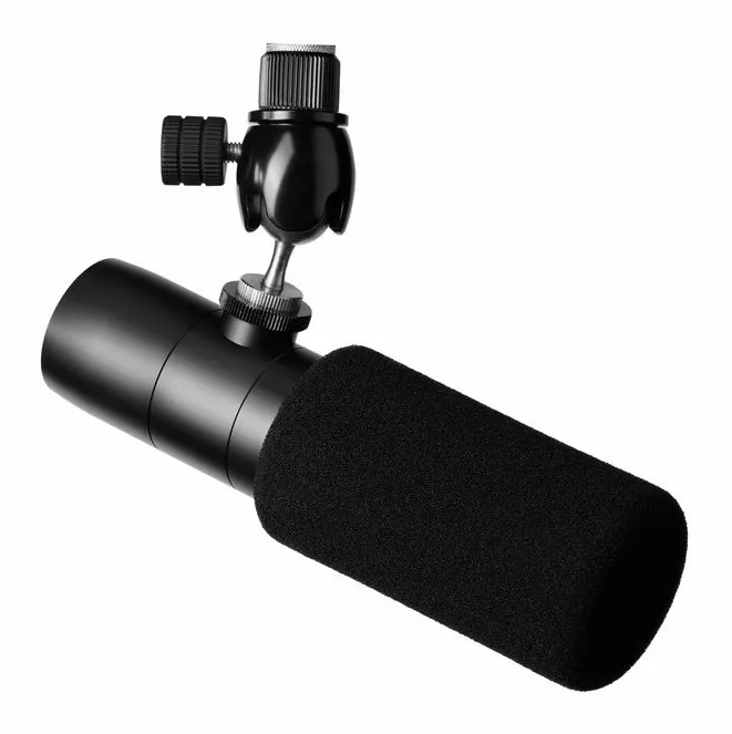 Earthworks Audio Ethos Black, de microfoonkorf van dichtbij