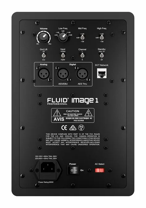 Fluid Audio Image 1, de achterkant met de aansluitingen