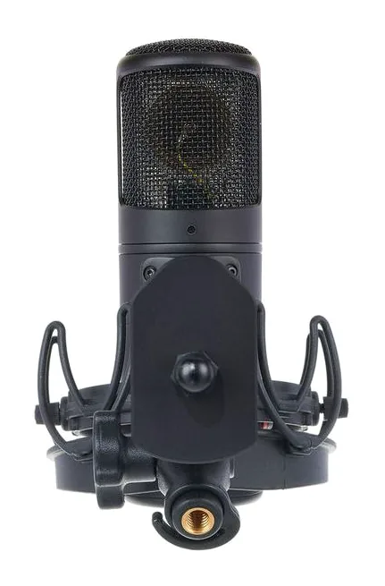 Golden Age Audio Premier GA-8000, de behuizing van opzij