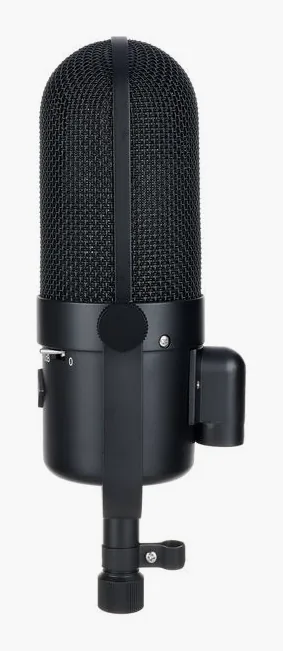 Golden Age Audio Premier R1A, het logo en de afwerking