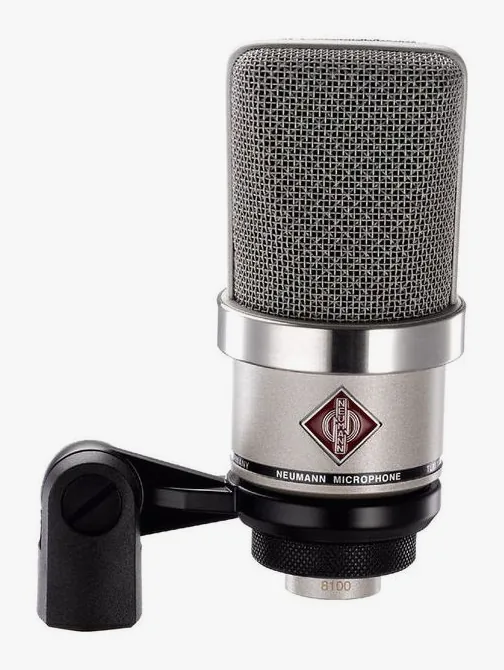 Neumann TLM 102 Nickel Bundle, het frontale grillewerk