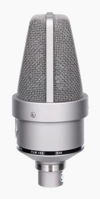 Neumann TLM 103 Stereo Set, de microfoonkorf van dichtbij