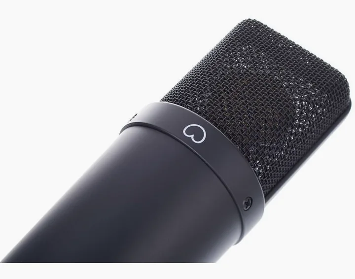 Neumann TLM 193, de microfoonkorf van dichtbij