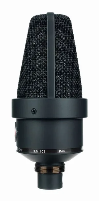 Neumann TLM 103 mt Mono Set, de microfoonkorf van dichtbij