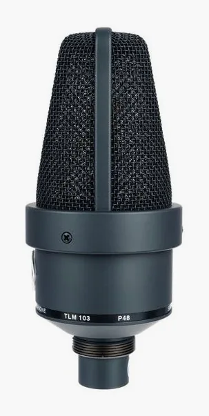 Neumann TLM 103 mt, het logo en de afwerking