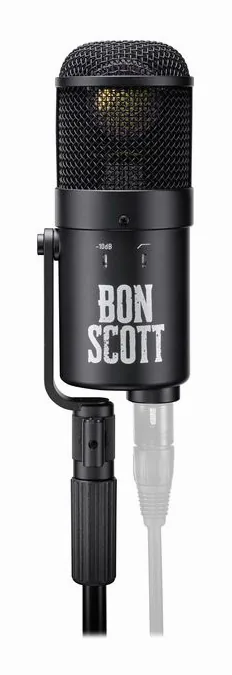 Neumann U47 fet Bon Scott Edition, de behuizing van opzij