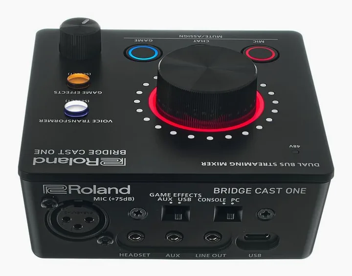 Roland Bridge Cast One, de aansluitingen aan de achterkant