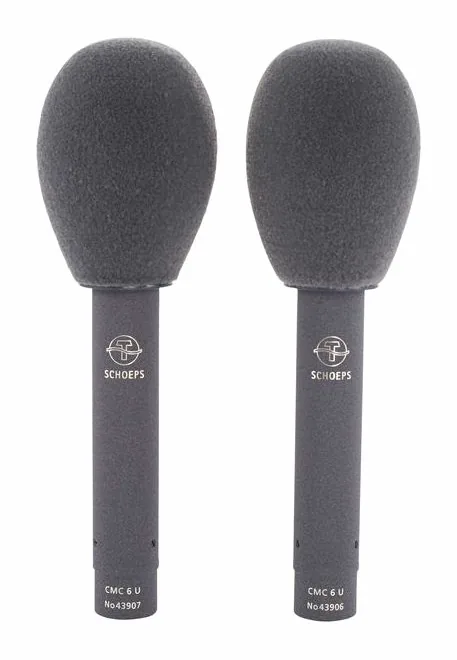 Schoeps Stereo Set CMC 6 + MK 4, het frontale grillewerk
